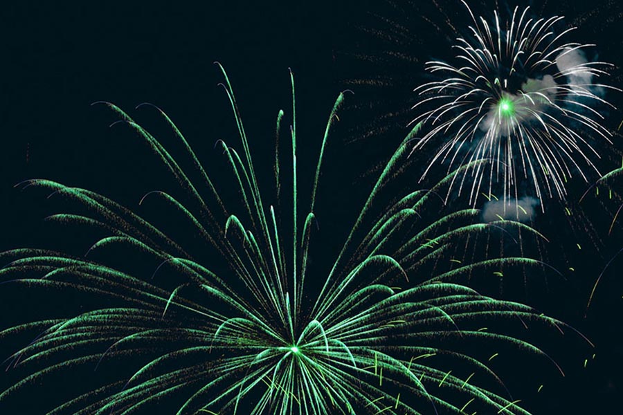 Green New Year Resolutions