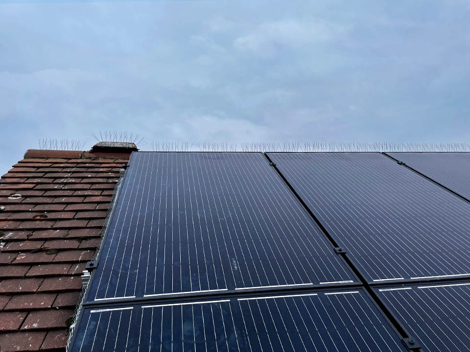 Bird Proofing Solar Panels