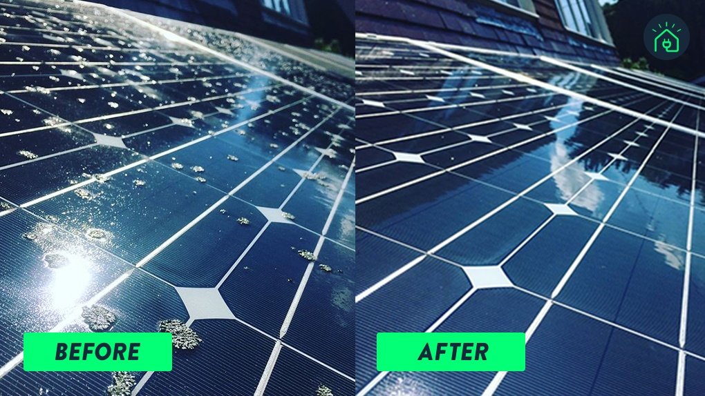 Solar Panel Cleaning