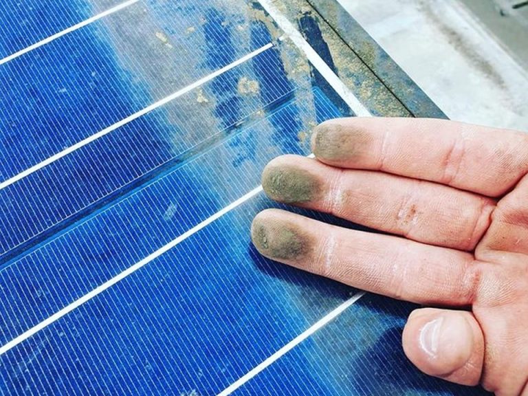 Solar Panel Cleaning