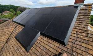 Bird Proofing Solar Panels