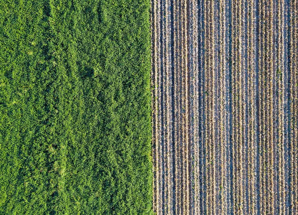 Renewable Energy BioMass Energy