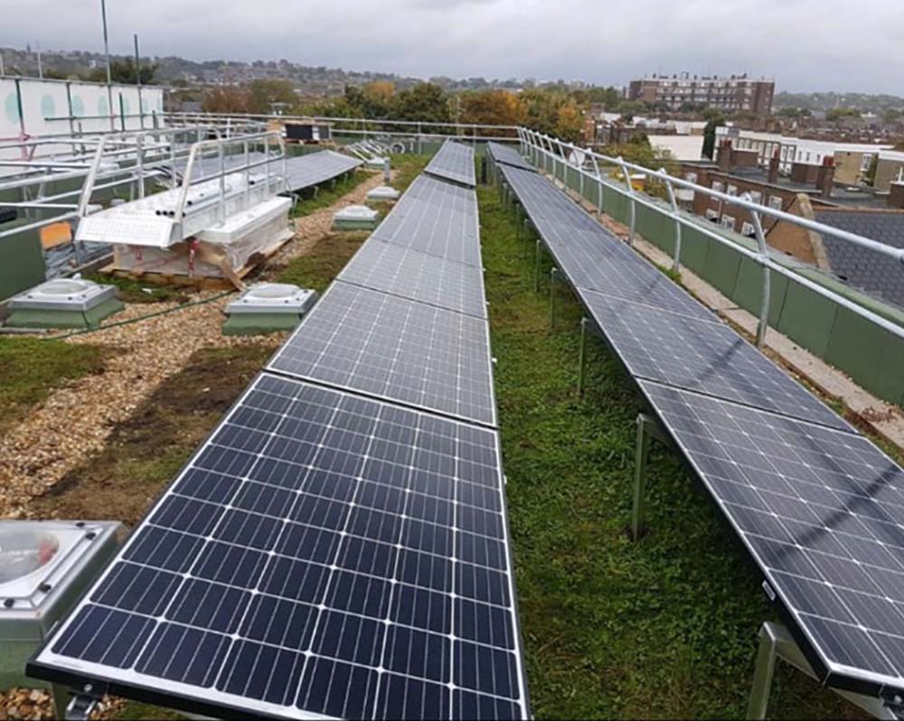 Community Solar Panels