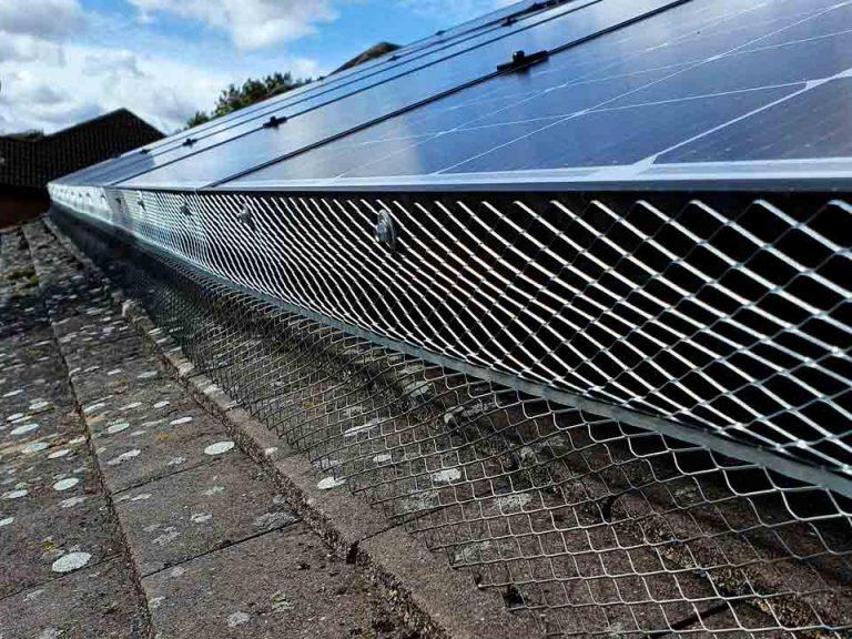 Bird Proofing Solar Panels